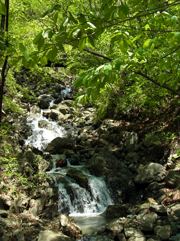 blog_pic8409.JPG