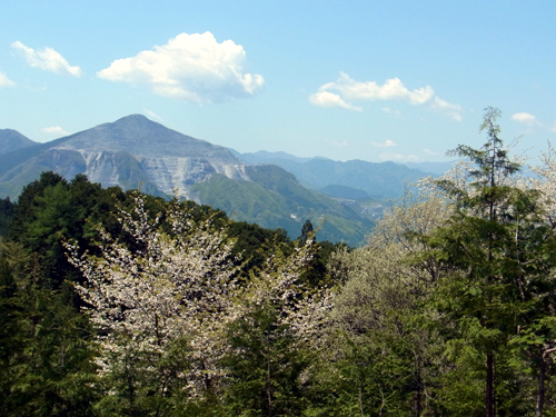 blog_pic8411.JPG