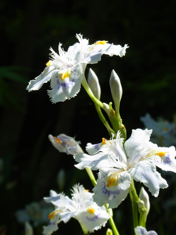 blog_pic8426.jpg