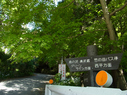 blog_pic8427.jpg