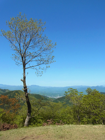 blog_pic8429.jpg