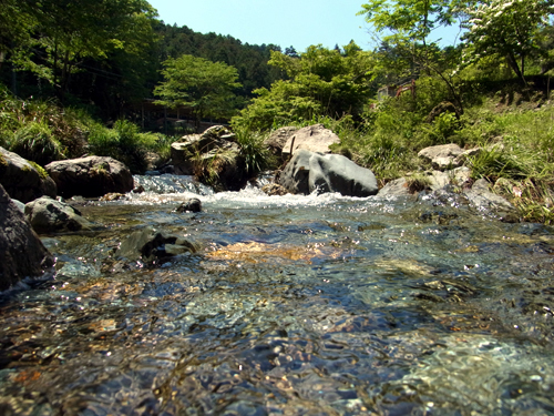 blog_pic8446.jpg