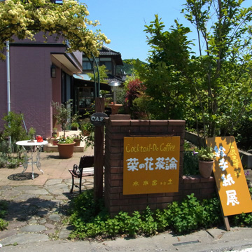 blog_pic8447.jpg