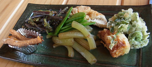 blog_pic8448.jpg
