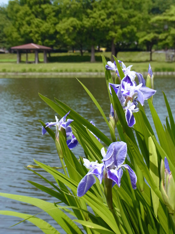 blog_pic8462.jpg