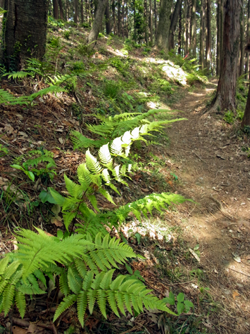 blog_pic8466.jpg