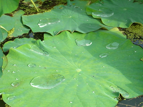 blog_pic8632.JPG