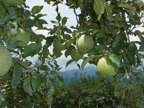 blog_pic8782.jpg