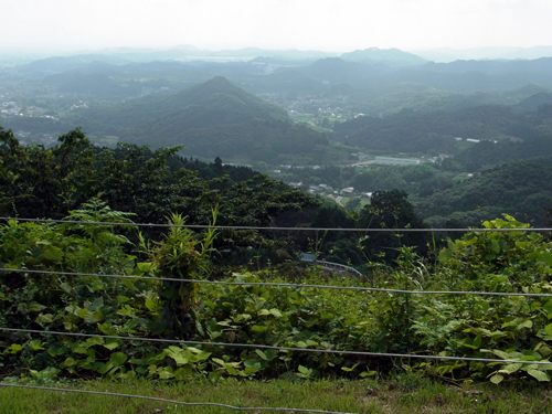 blog_pic8796.jpg