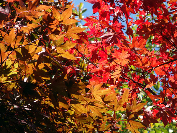 blog_pic8983.jpg