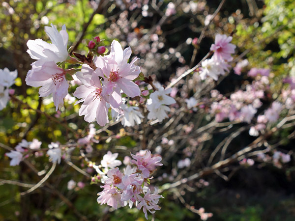 blog_pic8988.jpg