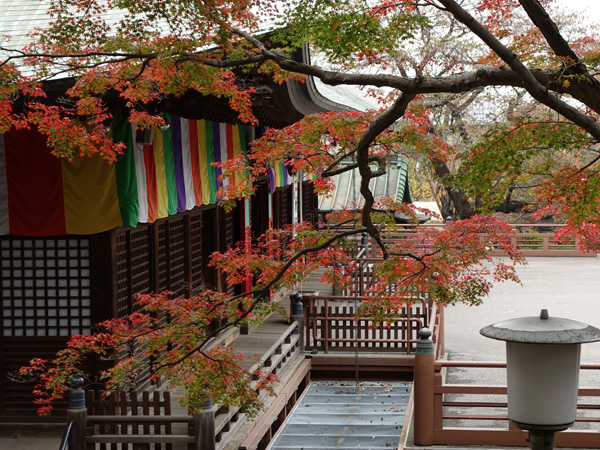 blog_pic9019.jpg