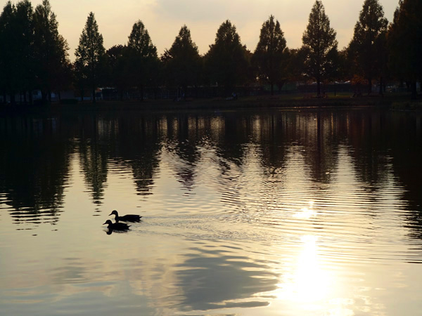 blog_pic9025.jpg