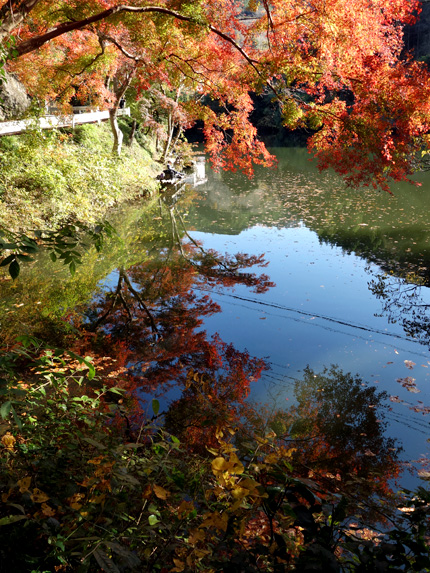 blog_pic9031.jpg