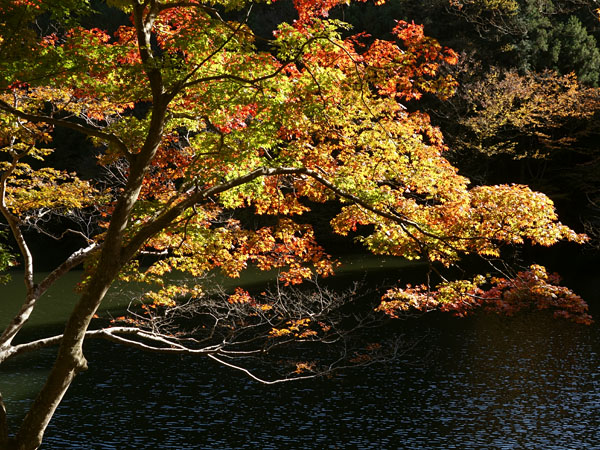 blog_pic9032.jpg