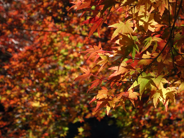 blog_pic9034.jpg