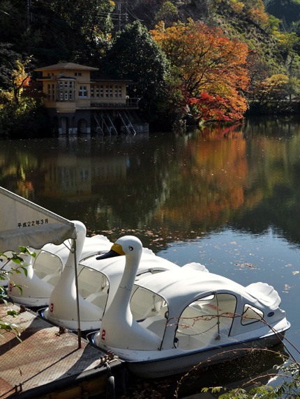 blog_pic9035.jpg