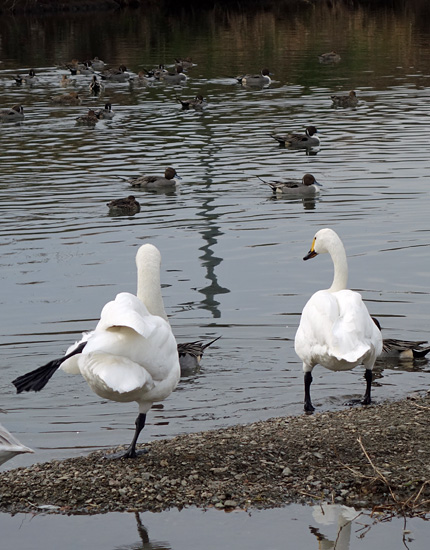 blog_pic9096.jpg