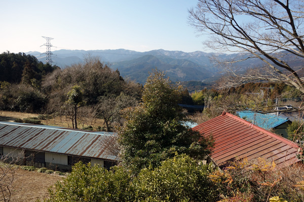 blog_pic9219.jpg