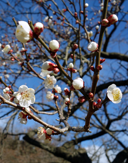 blog_pic9225.jpg