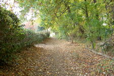 blog_pic967.jpg