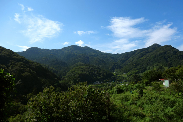 blog_pic9692.jpg